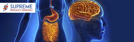 Understanding the Gut Brain Connection and the Effects of Stress on Digestion blog