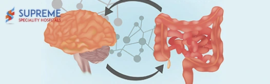Exploring the Connection Between Gut Health and Overall Wellness blog